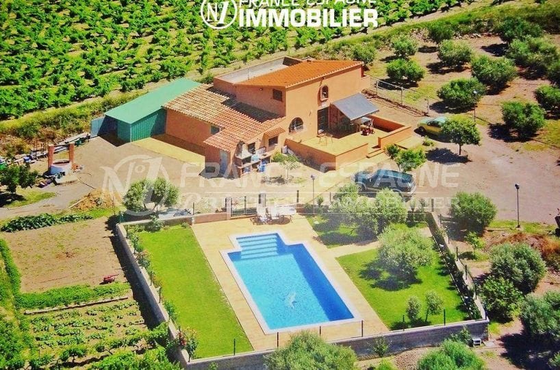 maison a vendre espagne, ref.2772, avec piscine et exploitation agricole oliviers et vins sur 12832 m²
