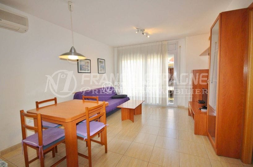 Appartement Roses - vue séjour