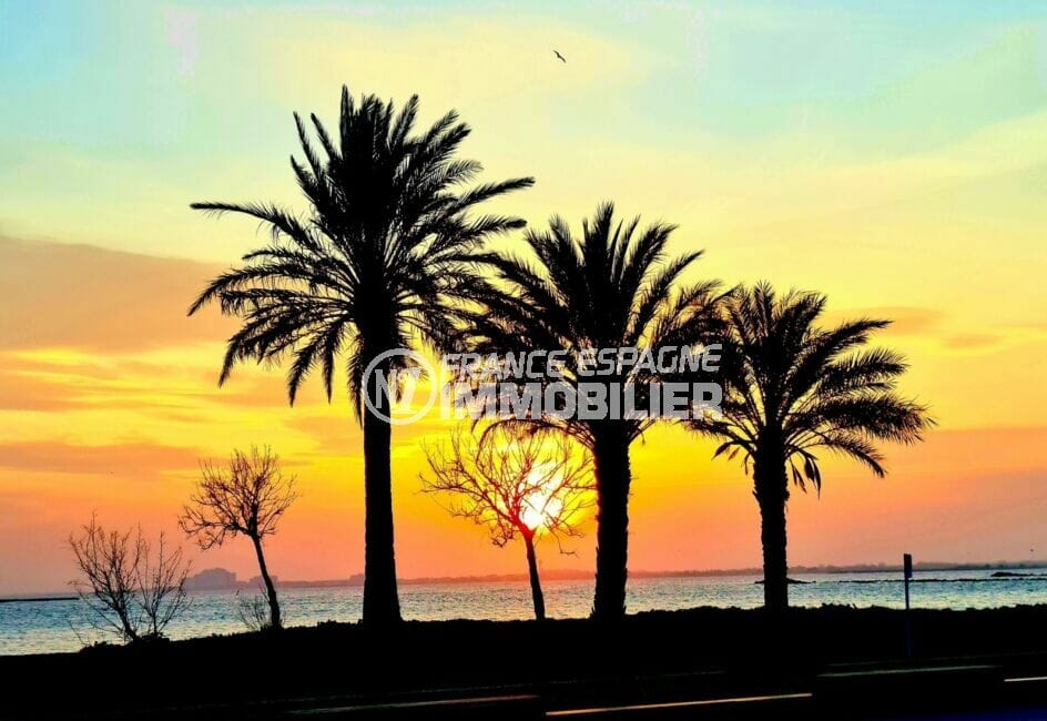 coucher de soleil sur les palmiers de la plage de rosas