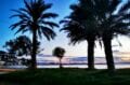 longues soirées estivalles sur la plage de rosas sous les palmiers