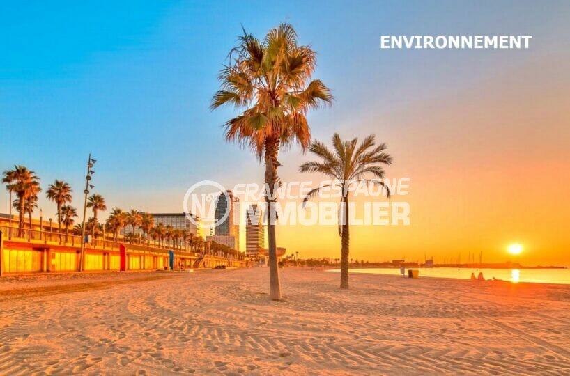 le sable fin, les palmiers et le magnifique coucher de soleil sur la plage de barcelona