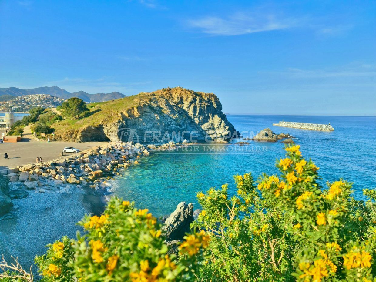 immeuble-llanca-vente-1762515641-VI058_1_original-3